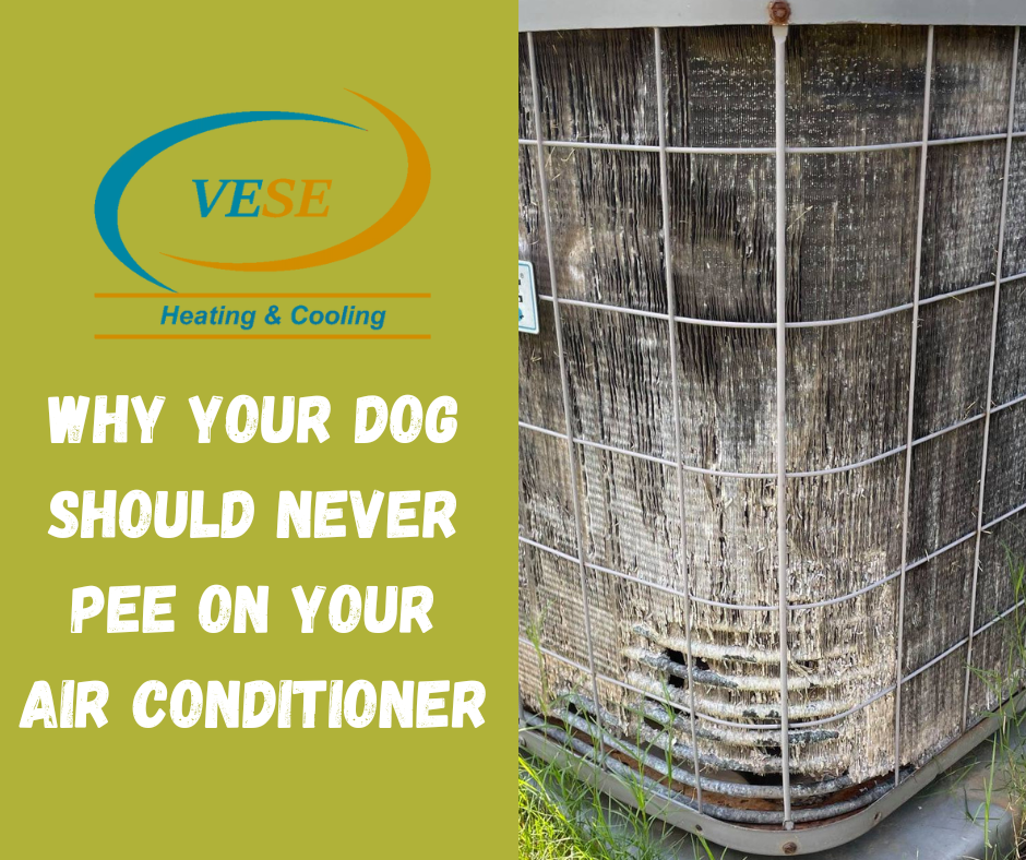 Why Your Dog Should Never Pee On Your Air Conditioner