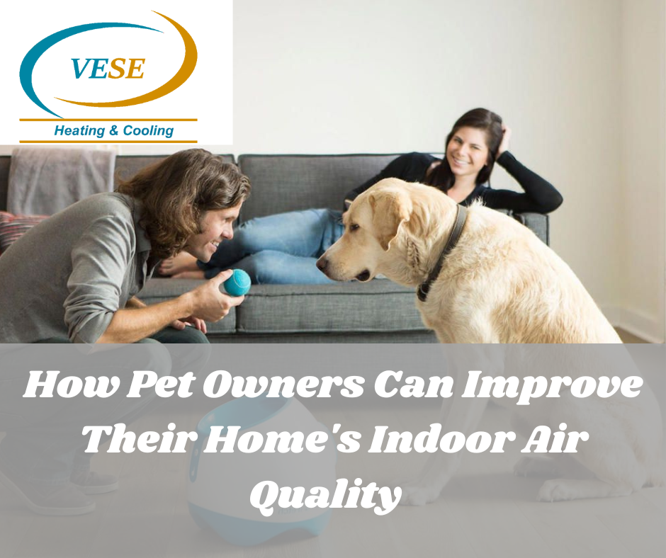 How Pet Owners Can Improve Their Home's Indoor Air Quality  